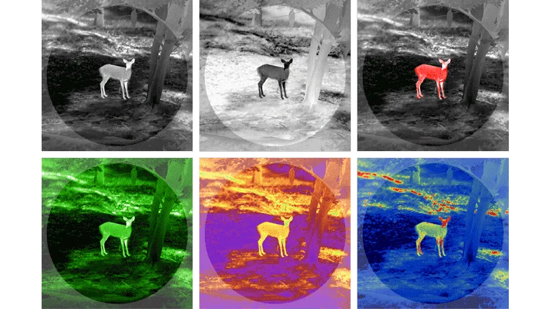 Thermal Infrared Thermal Infrared